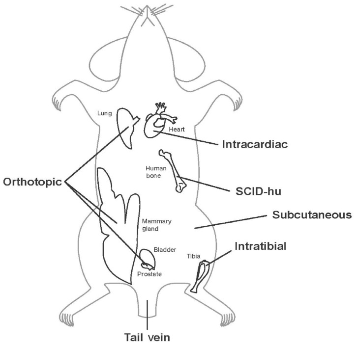 Figure 3.