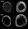 Figure 7: