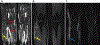 Figure 5: