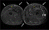 Figure 6: