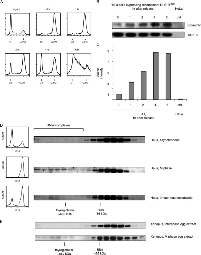 FIGURE 1.