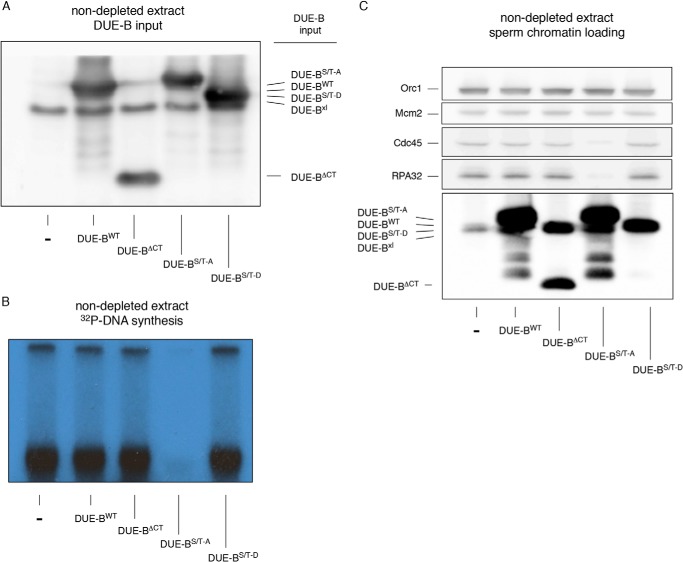 FIGURE 7.