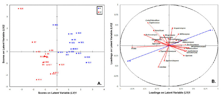 Figure 12