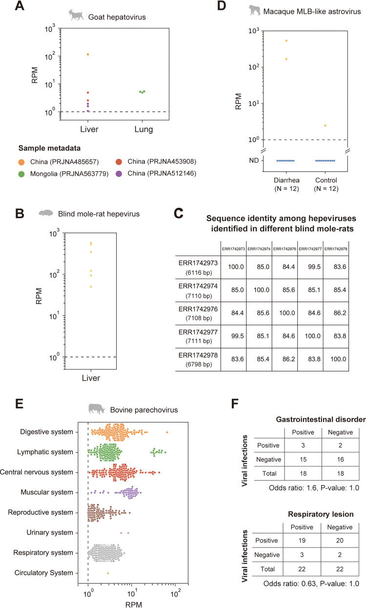 FIG 6