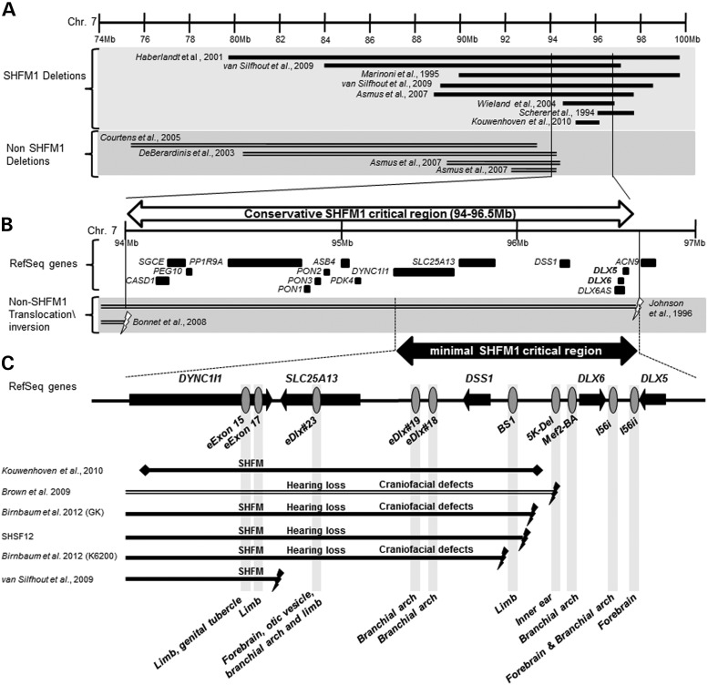 Figure 1.