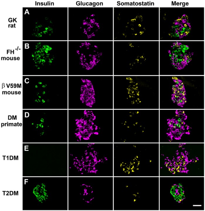 Figure 10.