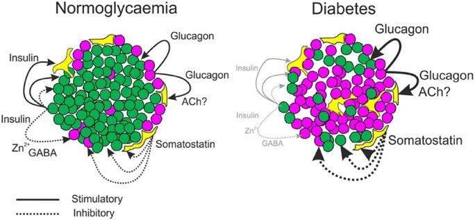 Figure 13.