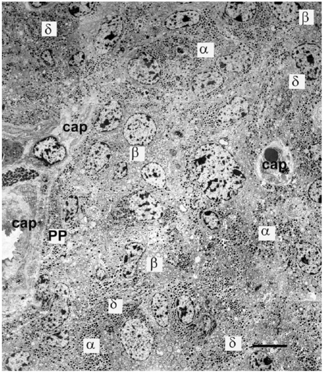 Figure 12.