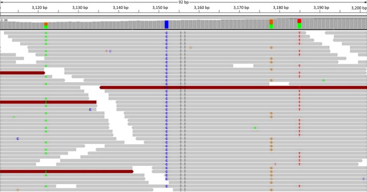 Fig 2