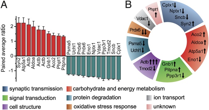 Fig. 3.