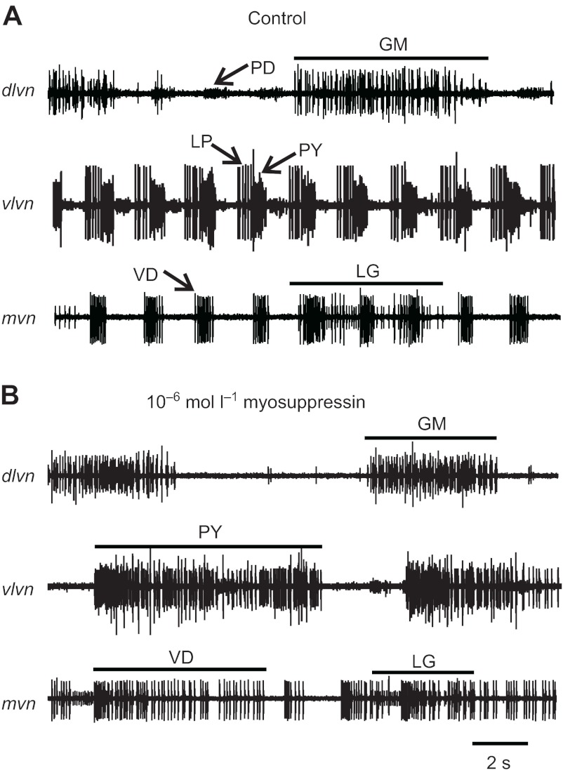 Fig. 2.