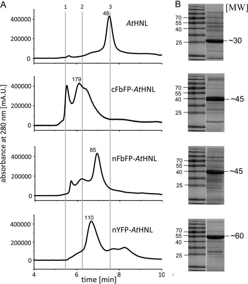 Fig 3