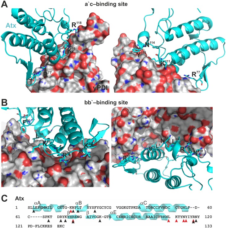 Fig 5