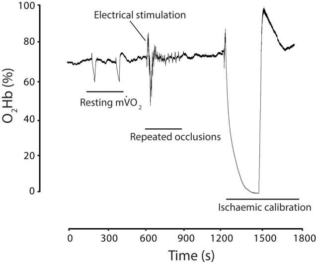 FIGURE 2