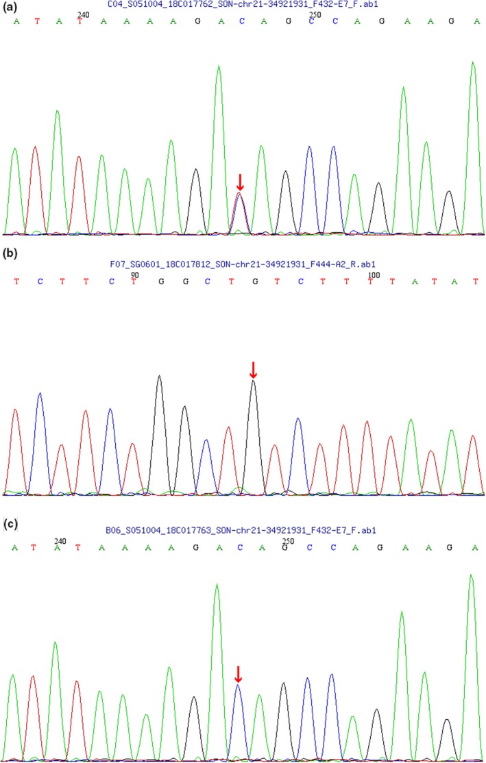 Figure 4