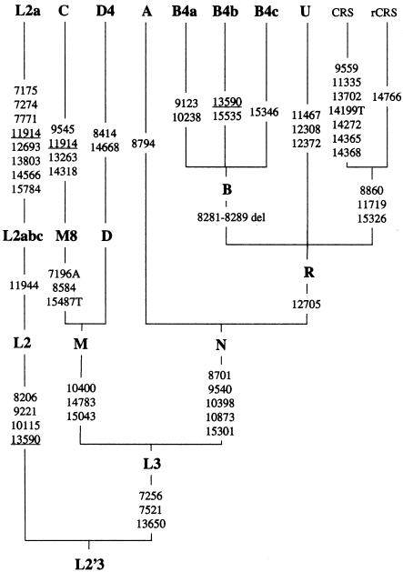 Figure  1