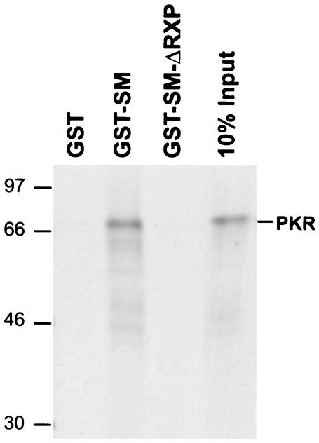 FIG. 5.