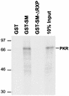 FIG. 5.