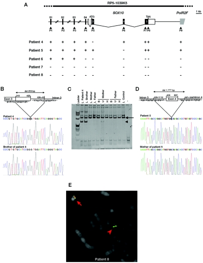 Figure  4. 