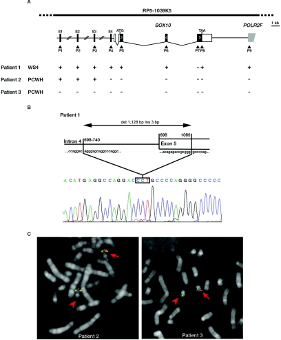 Figure  1. 