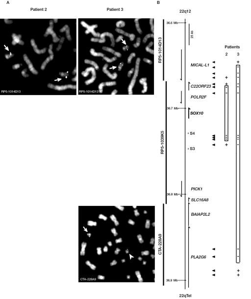 Figure  3. 