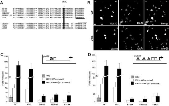 Figure  2. 