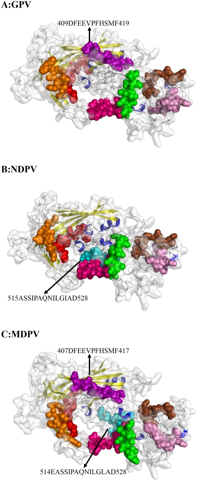 FIGURE 4