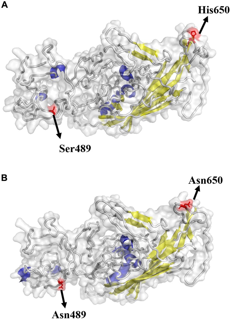 FIGURE 1