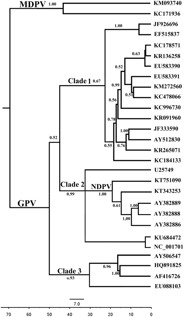 FIGURE 3