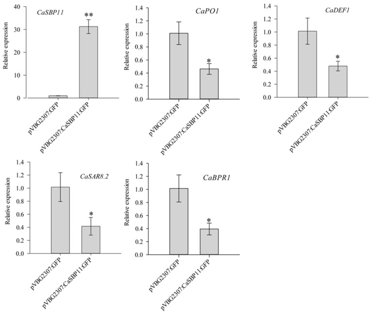 Figure 6