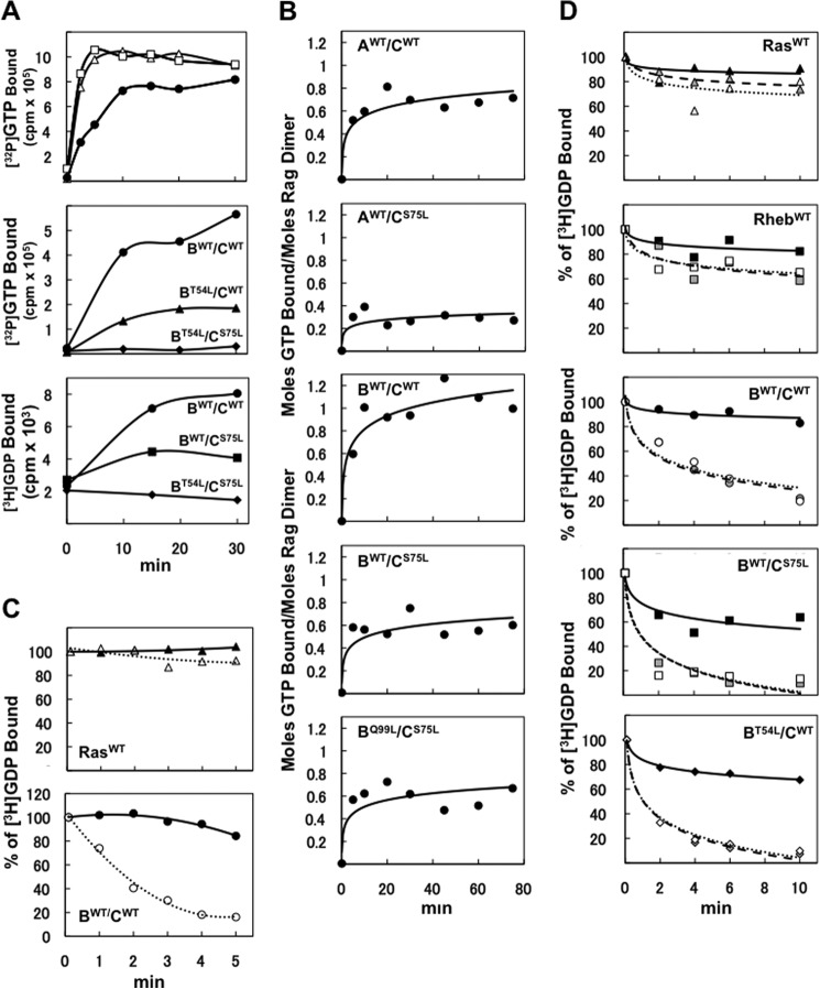 FIGURE 2.