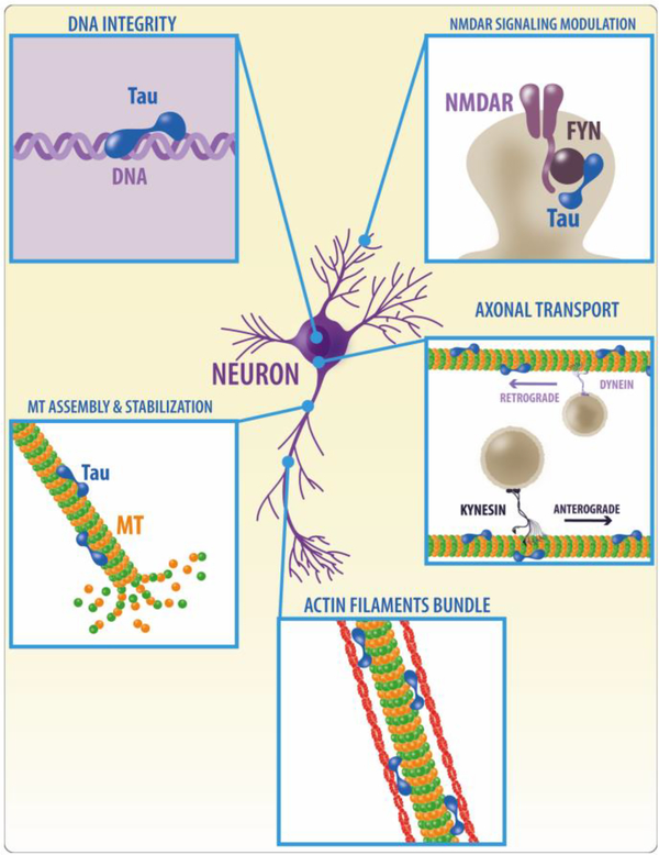 Figure 3.