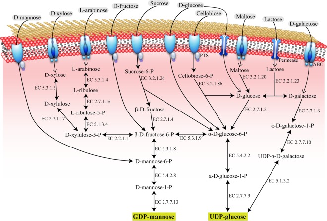 Figure 2