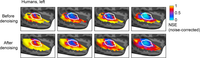 Figure 1—figure supplement 2.