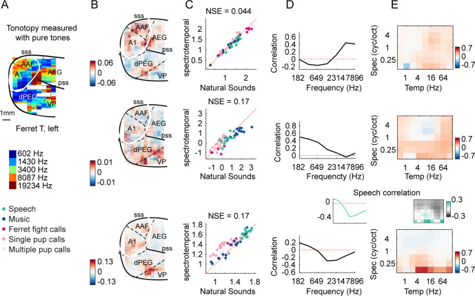 Figure 4—figure supplement 2.