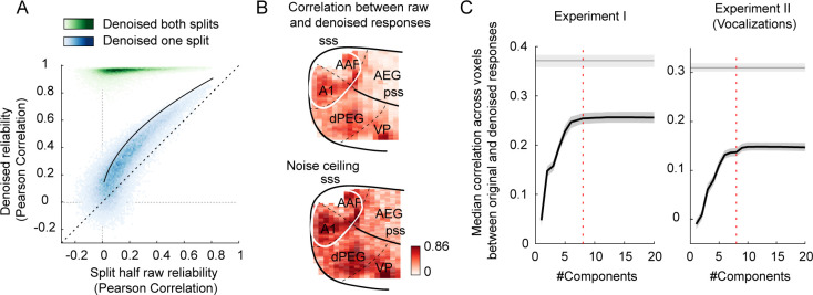 Figure 1—figure supplement 1.