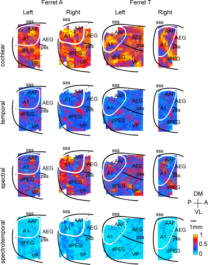 Figure 2—figure supplement 2.