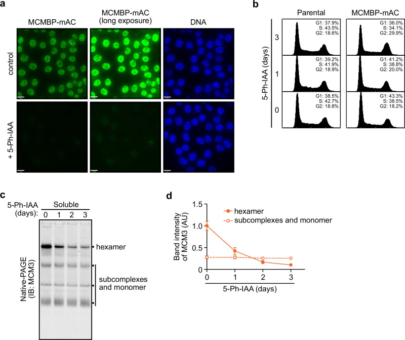 Figure 2—figure supplement 1.