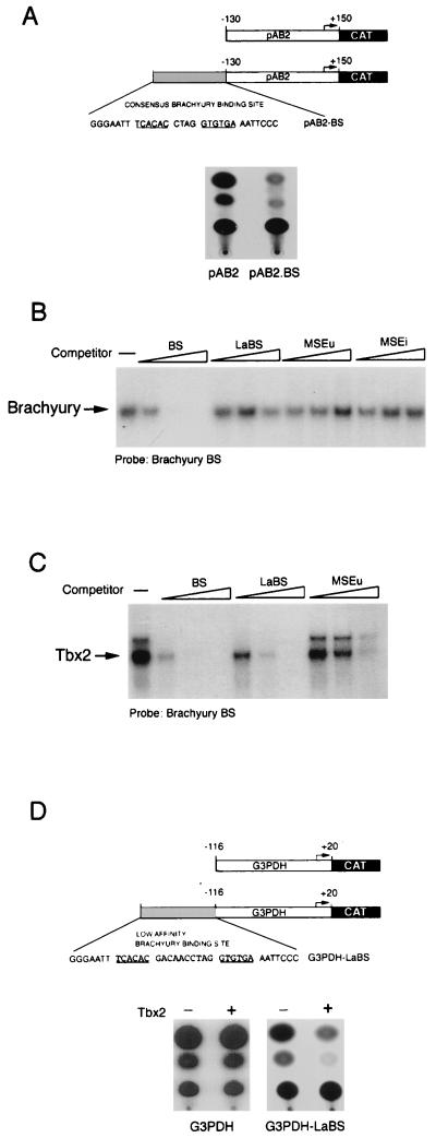 FIG. 5