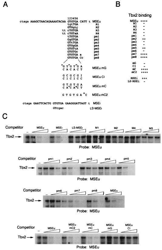 FIG. 6