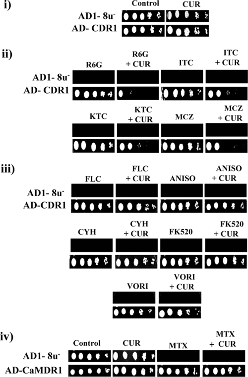 FIG. 5.