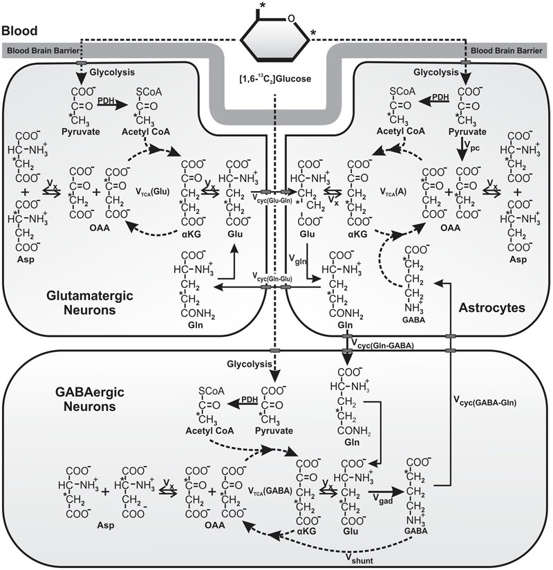 FIGURE 1