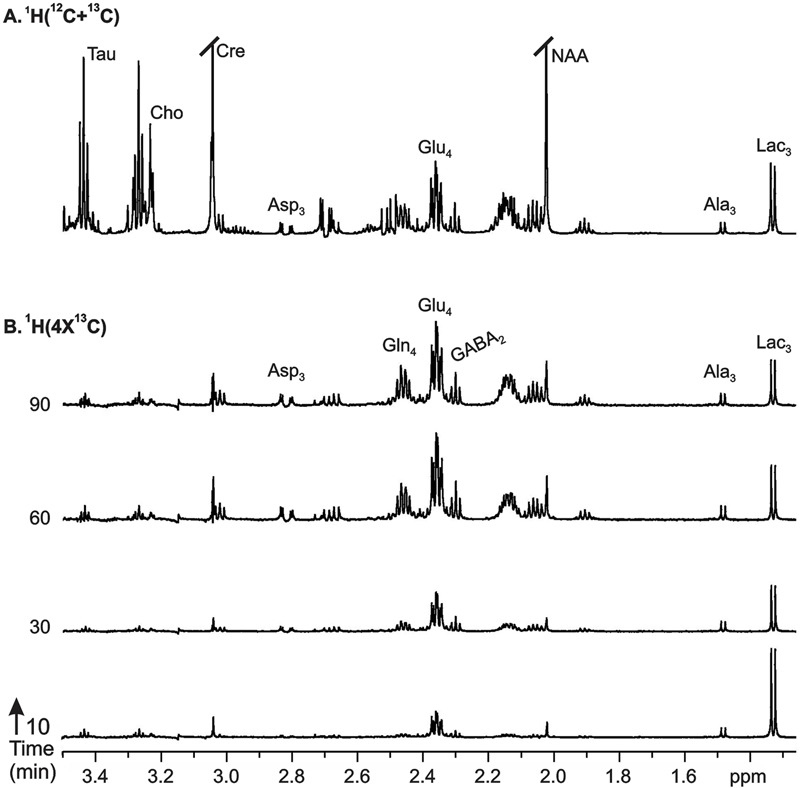 FIGURE 4