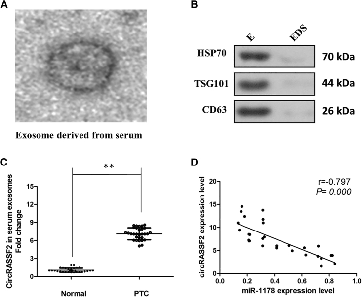 Figure 7