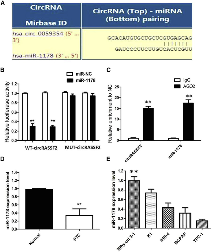 Figure 5