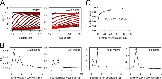 FIGURE 3.