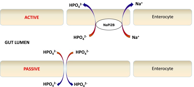 Figure 3.