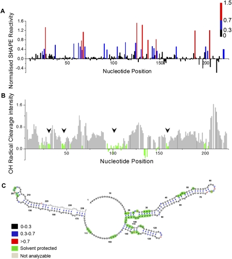 FIGURE 4.