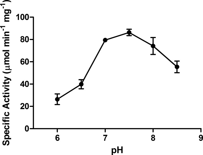 FIG 4