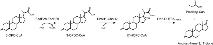 FIG 1